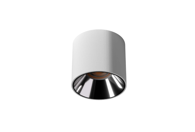 Surface Mounted Downlight